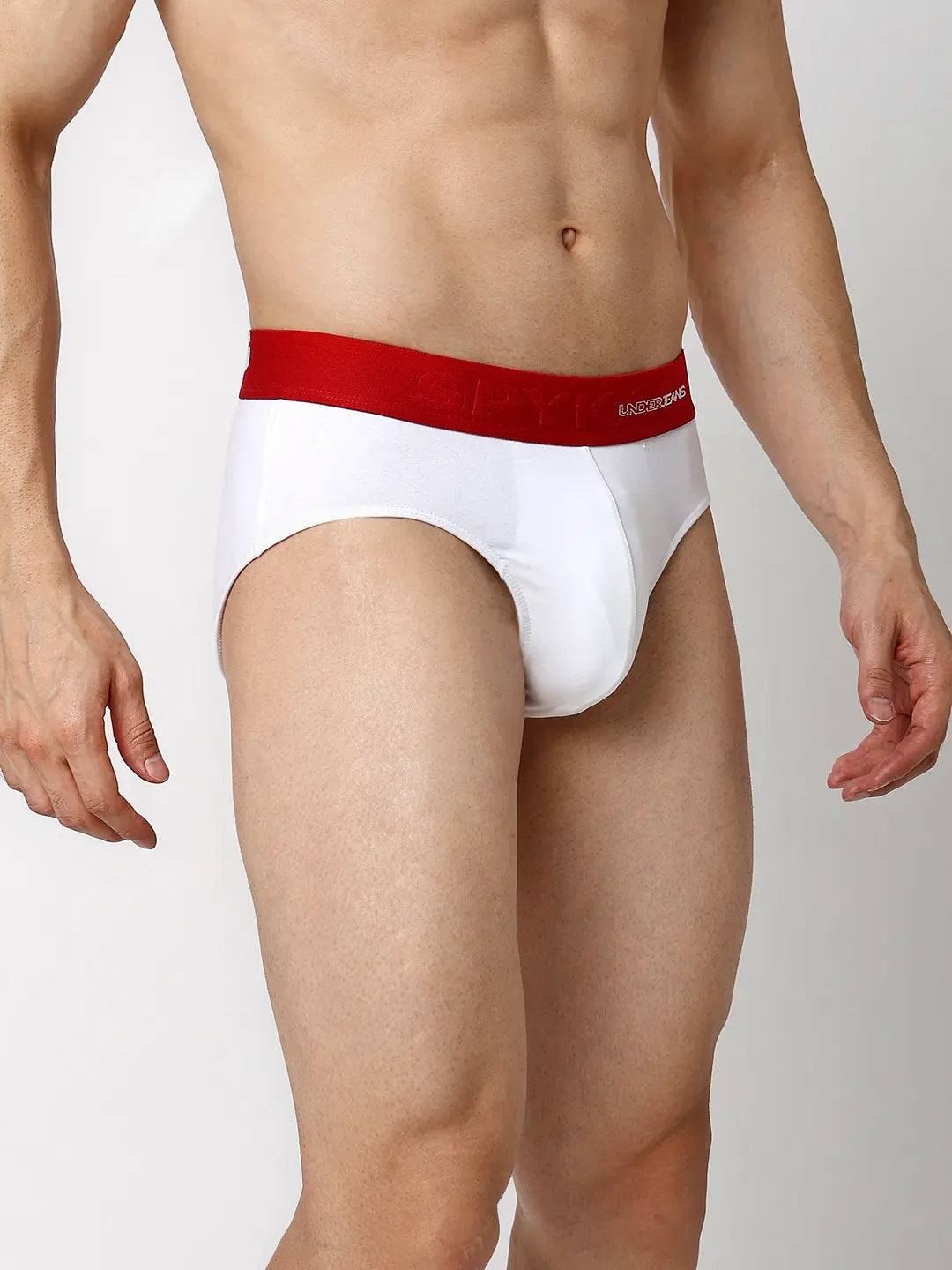 Underjeans By Spykar Men Purple & White Cotton Blend Regular Fit Brief - Pack Of 2