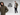 Top Jacket Styles for Men: Bomber, Puffer & More