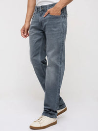 Men Ricardo Jeans Comfort Fit Grey Mid Rise