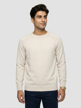 Men Sweater Beige Regular Fit