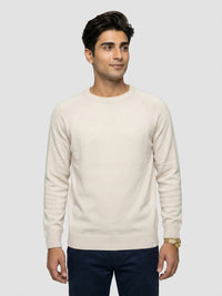 Men Sweater Beige Regular Fit
