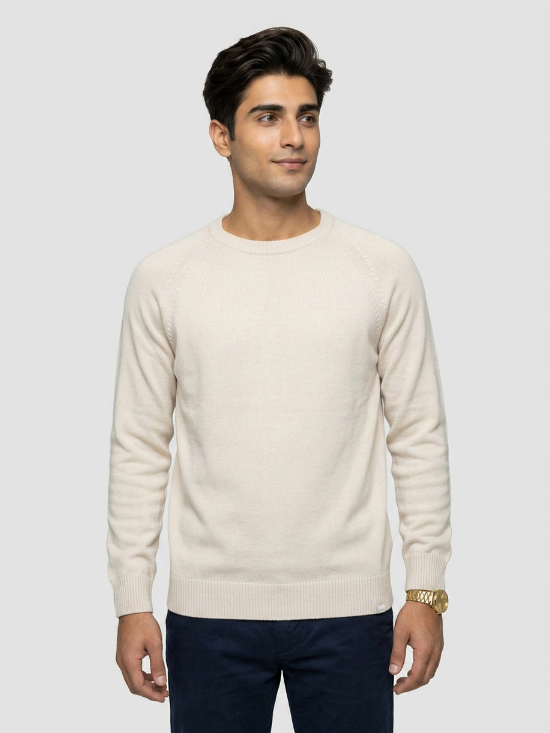 Men Sweater Beige Regular Fit
