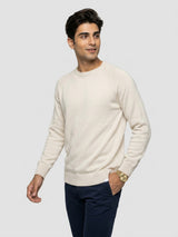 Men Sweater Beige Regular Fit