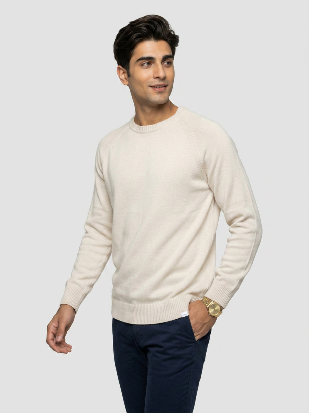 Men Sweater Beige Regular Fit