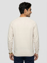Men Sweater Beige Regular Fit