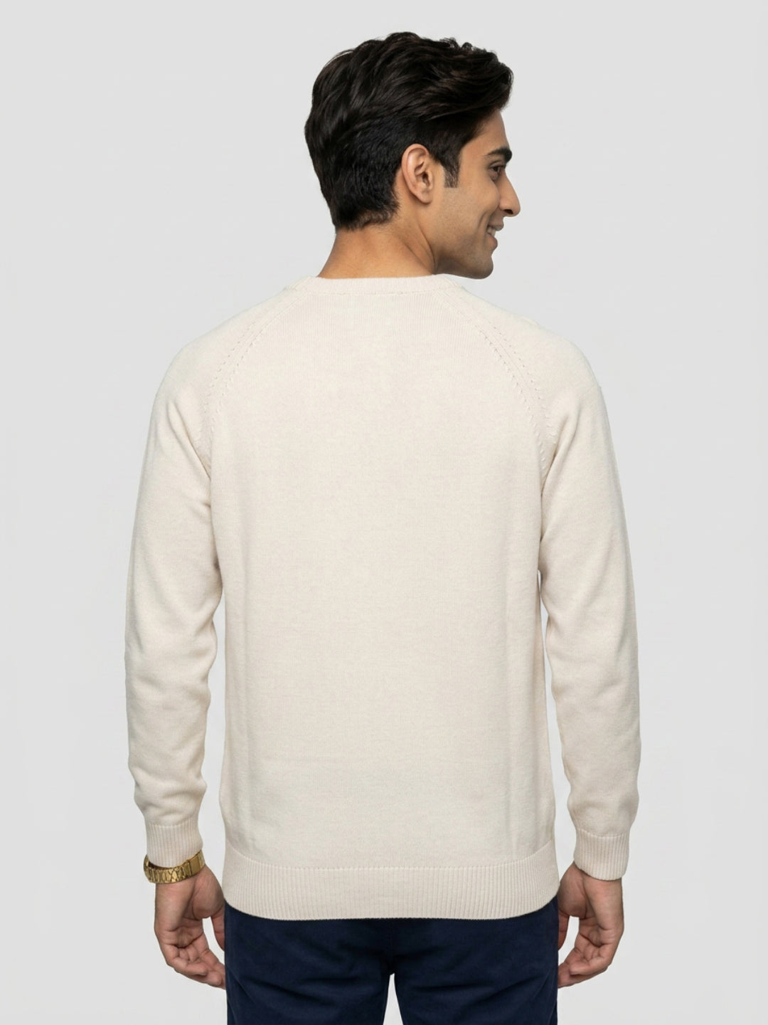 Men Sweater Beige Regular Fit