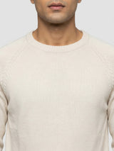 Men Sweater Beige Regular Fit