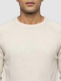 Men Sweater Beige Regular Fit