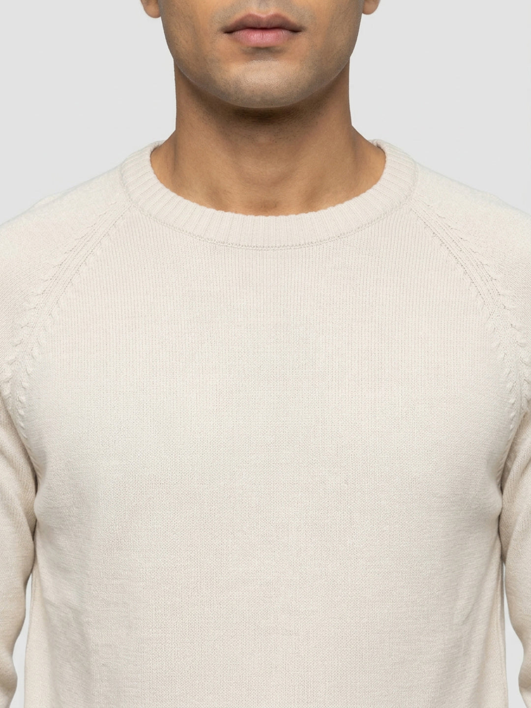 Men Sweater Beige Regular Fit