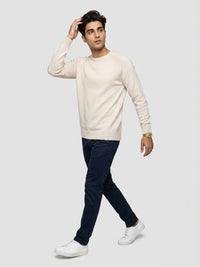 Men Sweater Beige Regular Fit