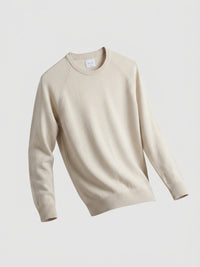 Men Sweater Beige Regular Fit