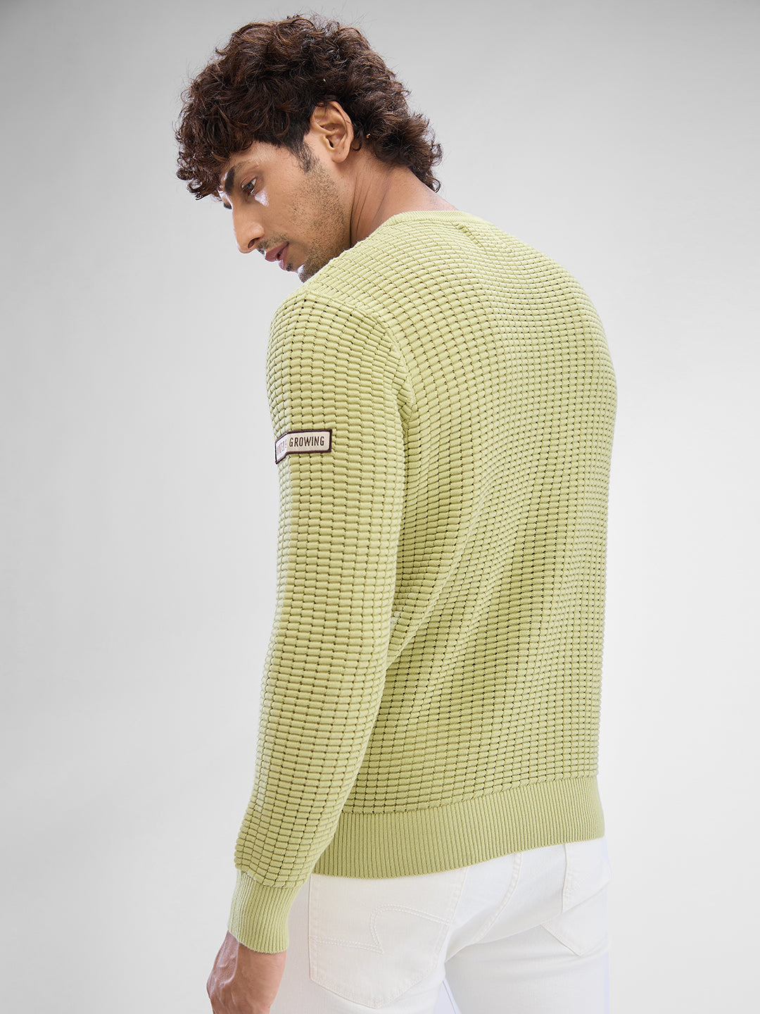 Spykar Beechnut Green Cotton Full Sleeve Sweater For Men