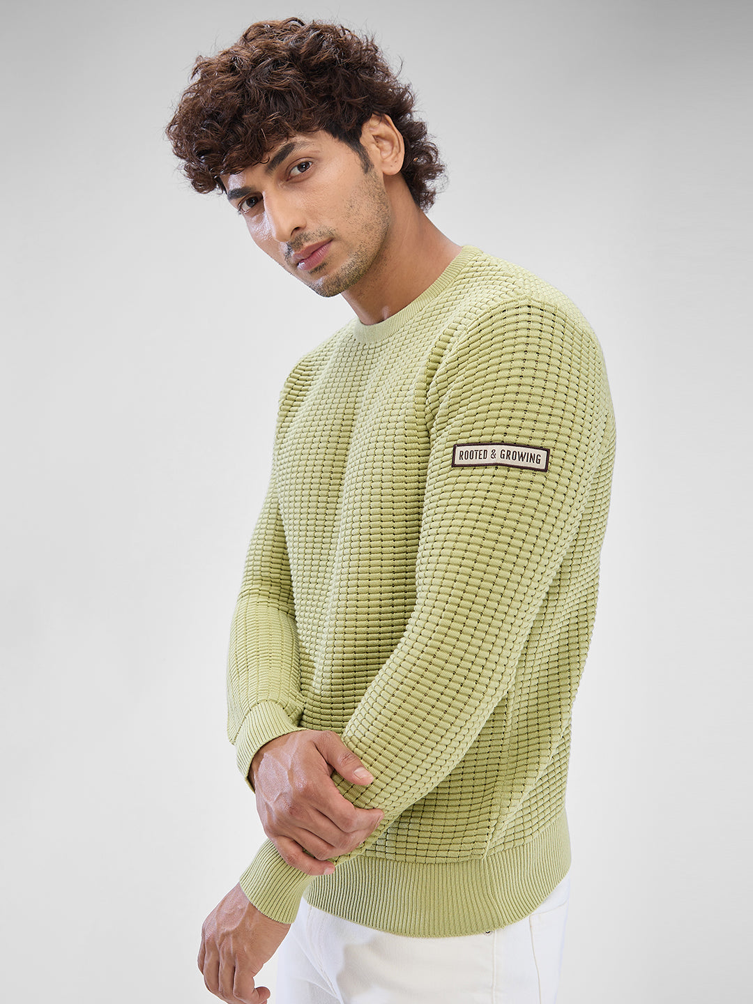 Spykar Beechnut Green Cotton Full Sleeve Sweater For Men