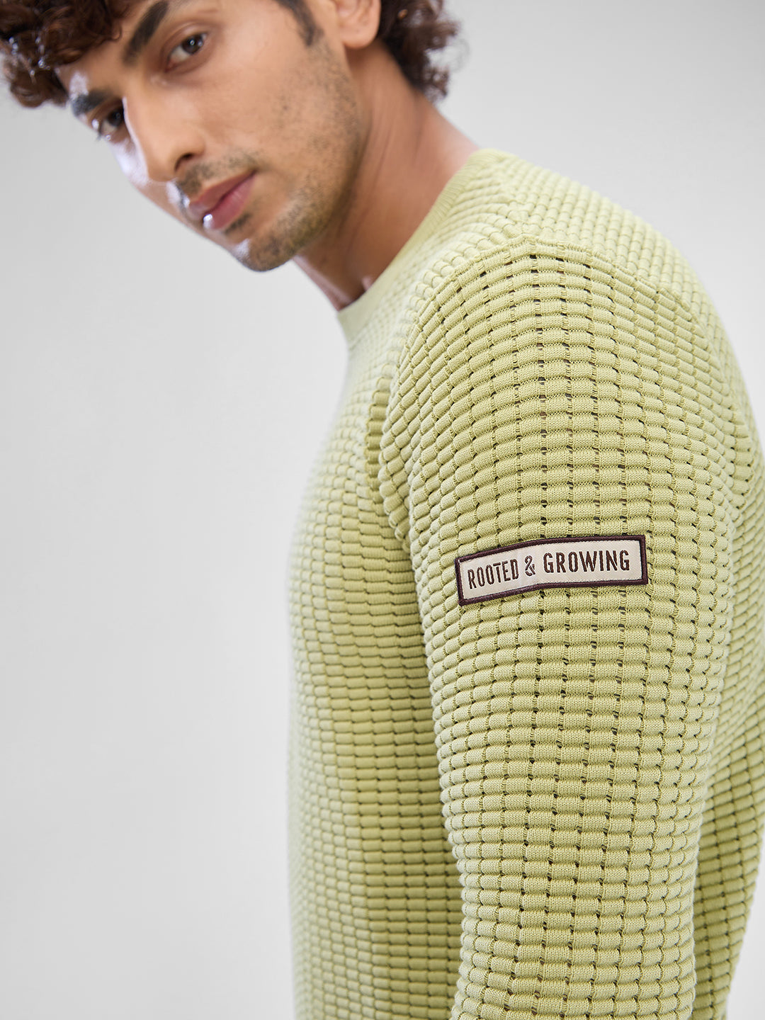 Spykar Beechnut Green Cotton Full Sleeve Sweater For Men