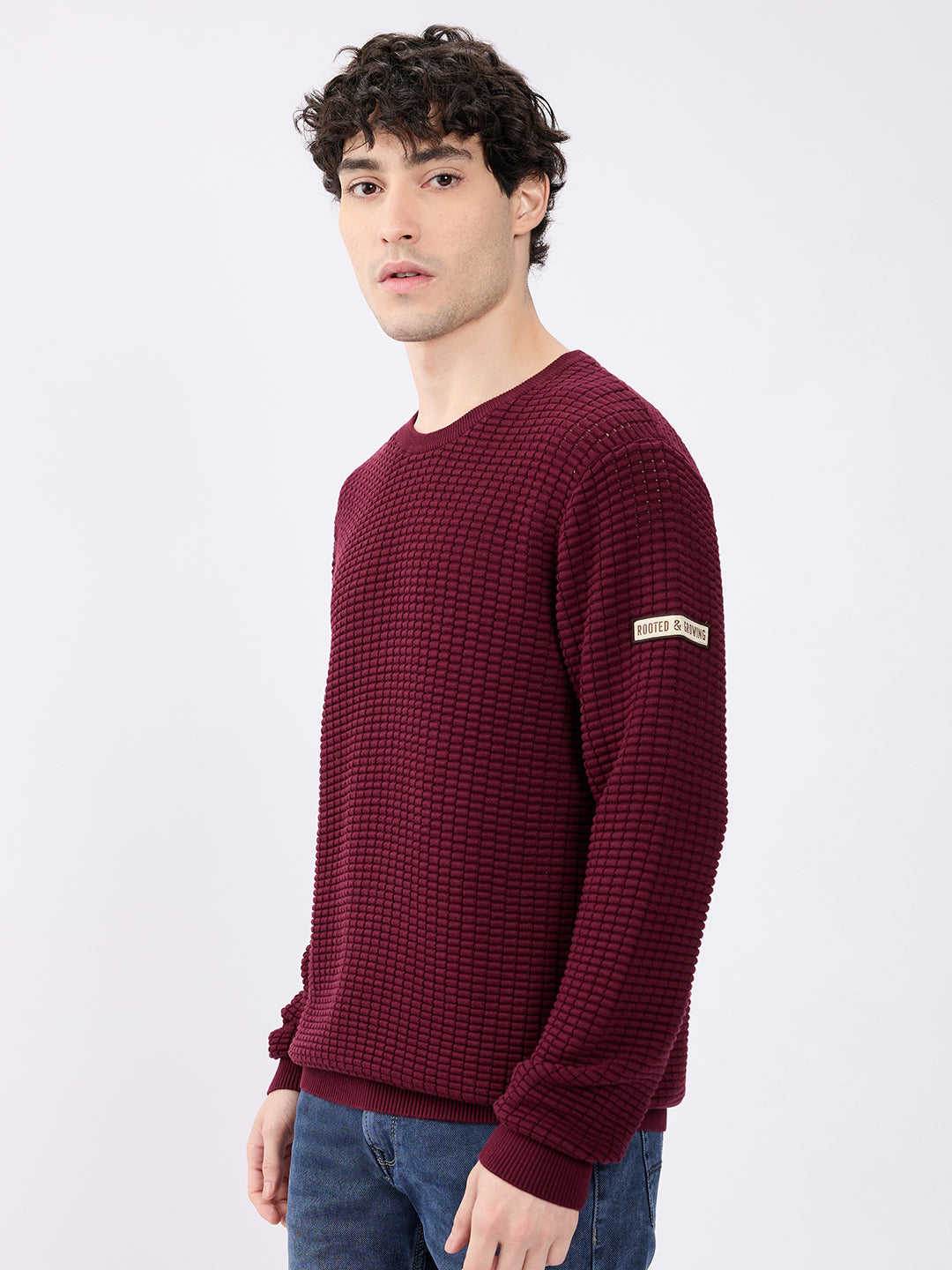 Spykar Wine Red Regular Fit Casual Sweaters For Men