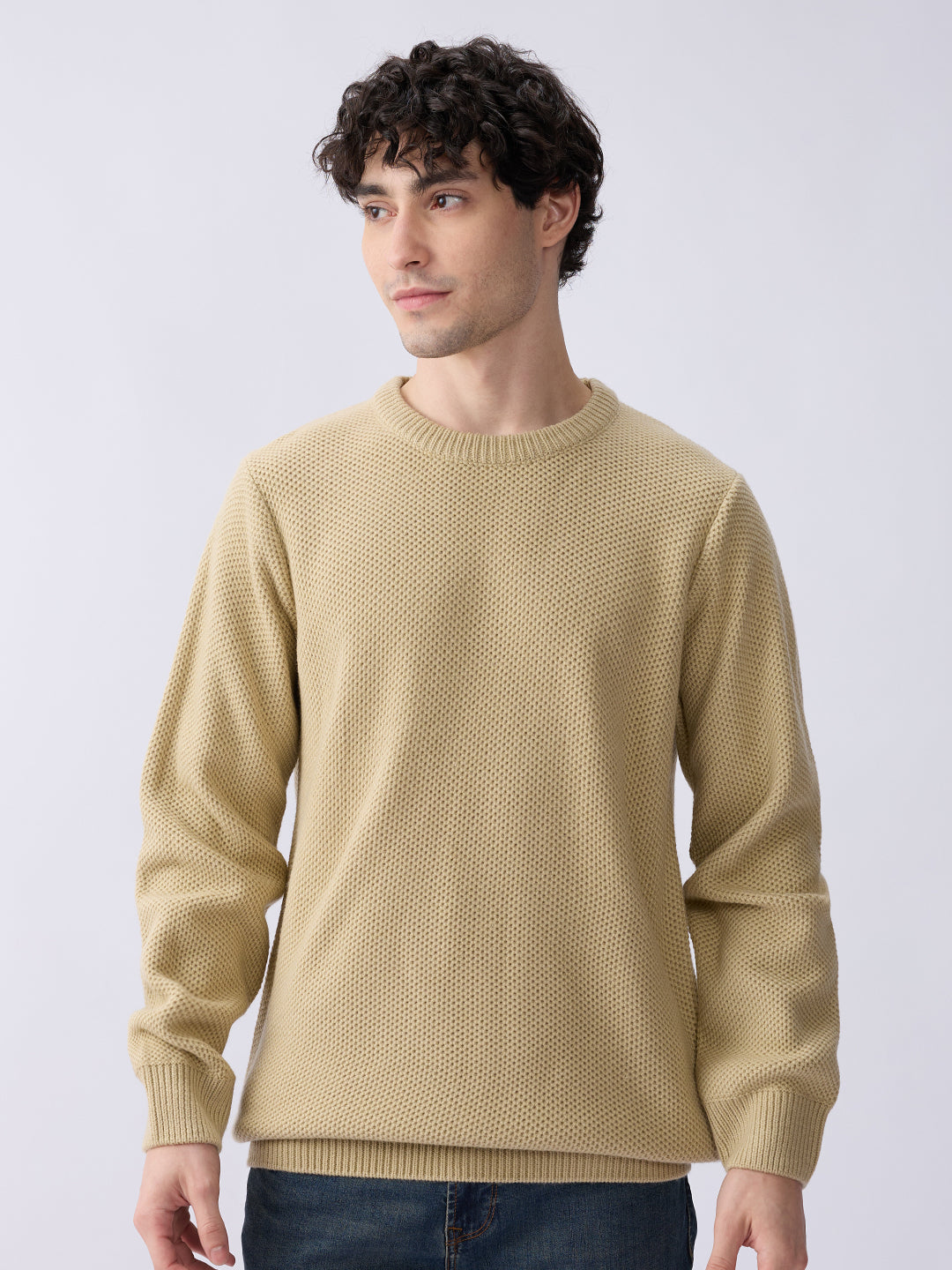 Spykar Beige Regular Fit Casual Sweaters For Men