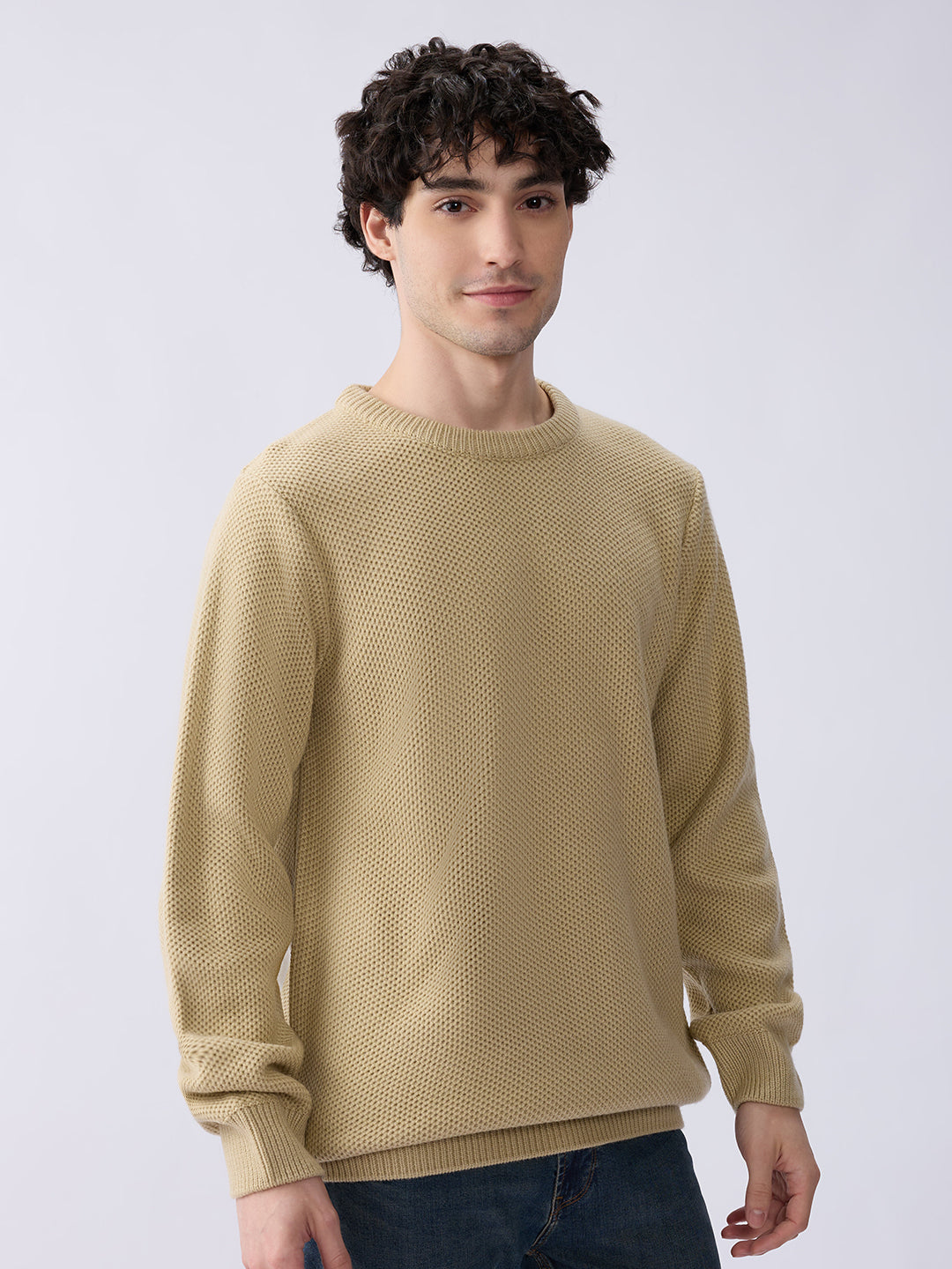 Spykar Beige Regular Fit Casual Sweaters For Men