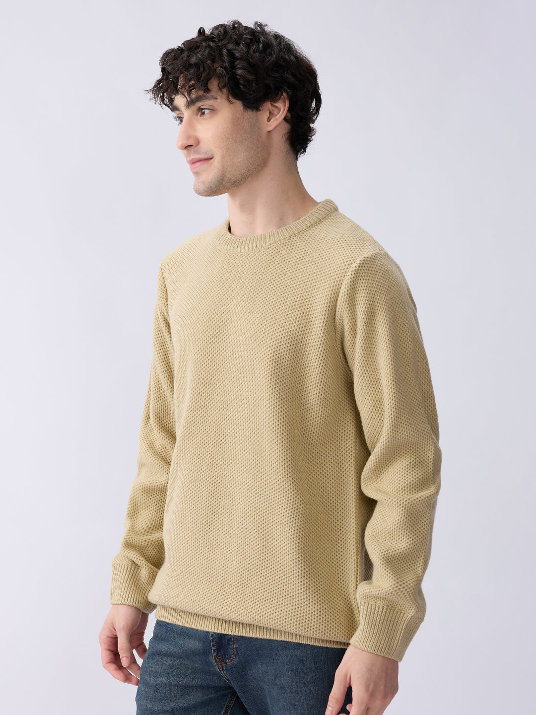 Spykar Beige Regular Fit Casual Sweaters For Men