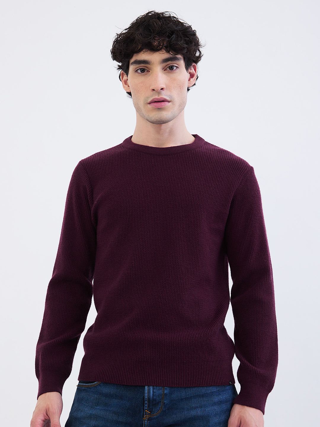 Spykar Plum Red Slim Fit Casual Sweaters For Men