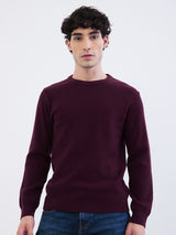 Men Sweater Red Slim Fit