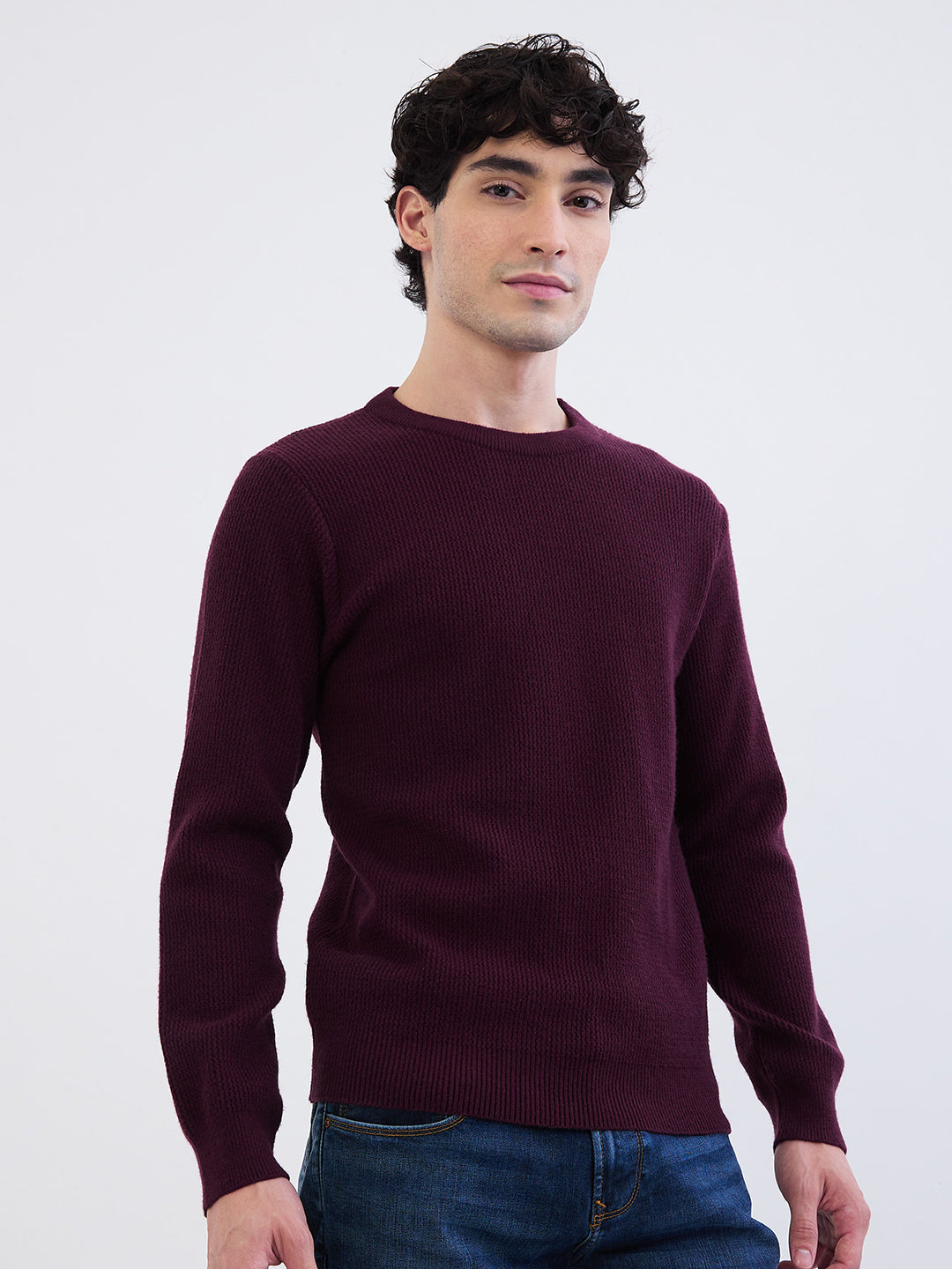 Spykar Plum Red Slim Fit Casual Sweaters For Men