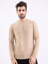 Men Sweater Beige Slim Fit