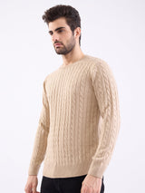 Men Sweater Beige Slim Fit