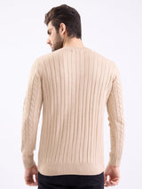 Men Sweater Beige Slim Fit