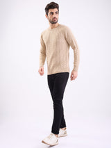 Men Sweater Beige Slim Fit
