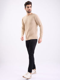 Men Sweater Beige Slim Fit