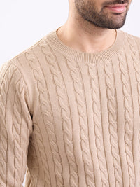 Men Sweater Beige Slim Fit