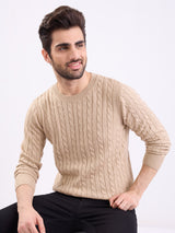 Men Sweater Beige Slim Fit