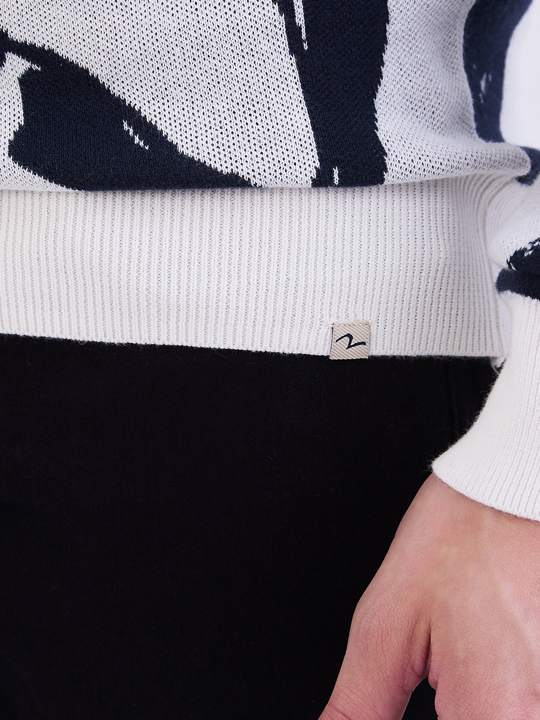 Men Sweater Blue Slim Fit