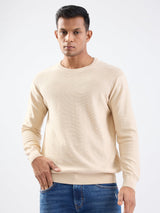 Men Sweater Taupe Beige Slim Fit