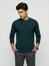 Men Sweater Green Regular Fit