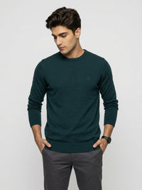 Men Sweater Green Regular Fit