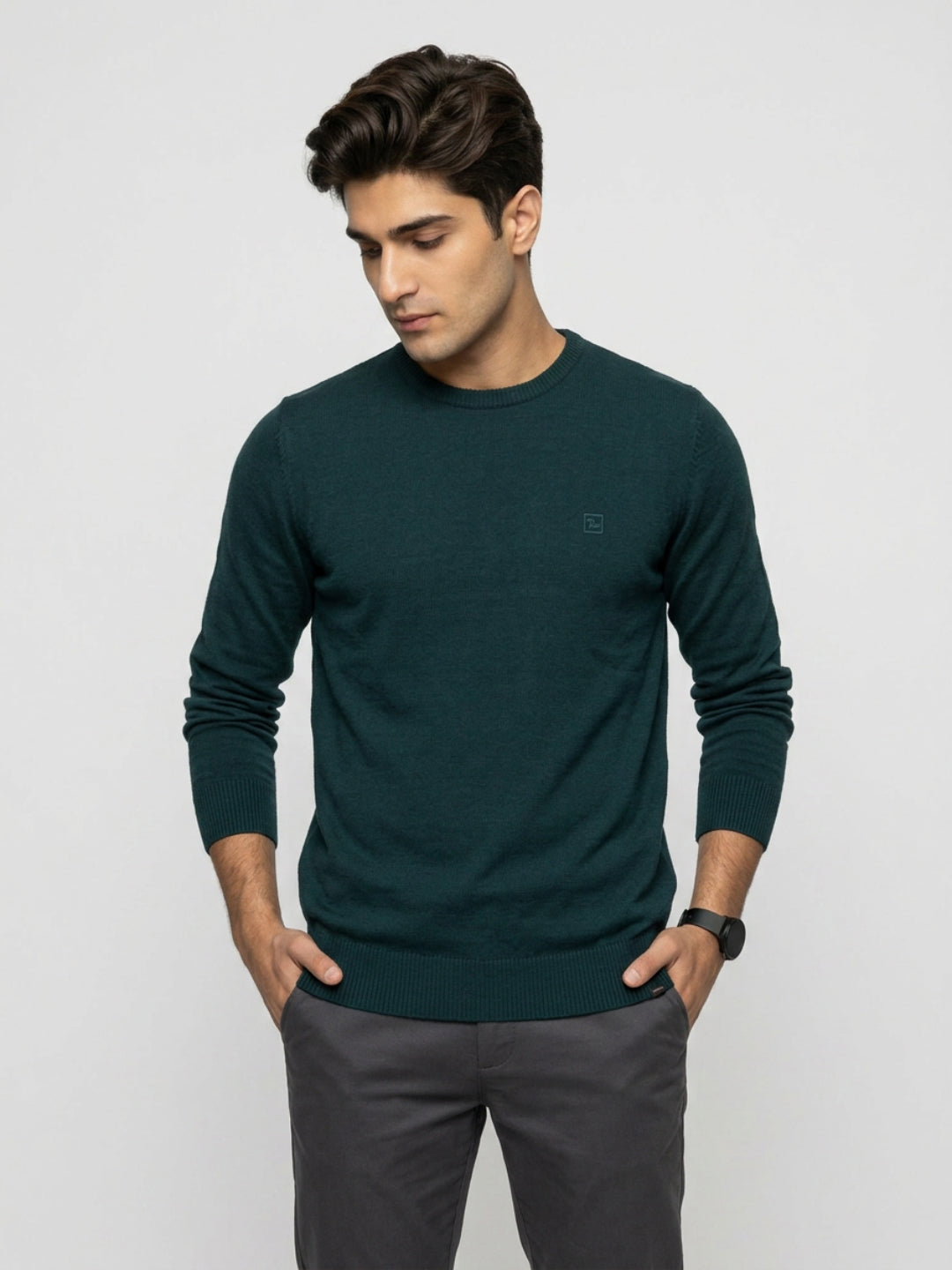 Men Sweater Green Regular Fit