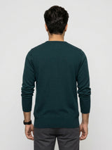 Men Sweater Green Regular Fit