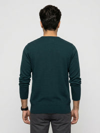 Men Sweater Green Regular Fit