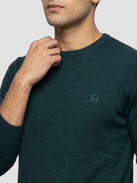 Men Sweater Green Regular Fit
