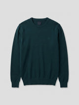 Men Sweater Green Regular Fit