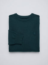 Men Sweater Green Regular Fit