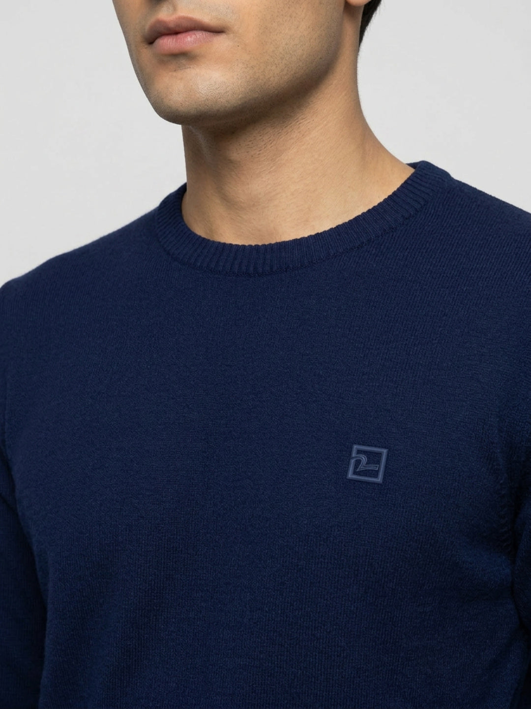 Men Sweater Navy Blue Regular Fit