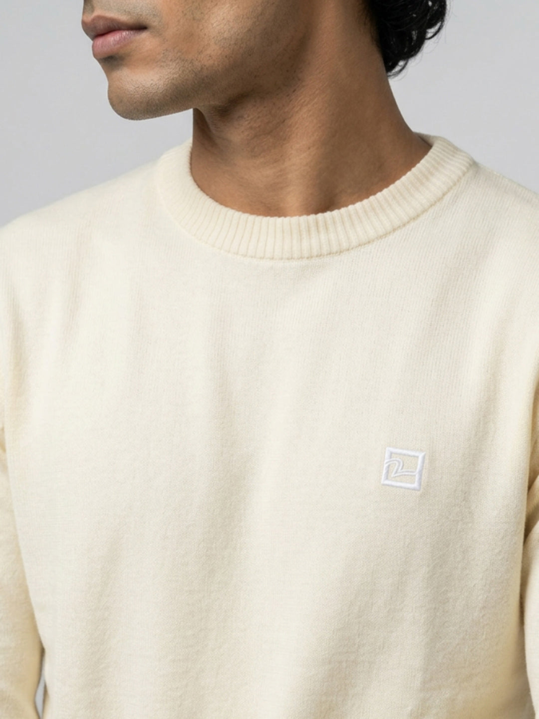 Men Sweater White Regular Fit