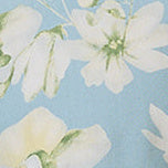 Cameo Blue