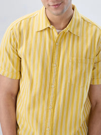 Men Shirt Stripe Yellow Regular Fit