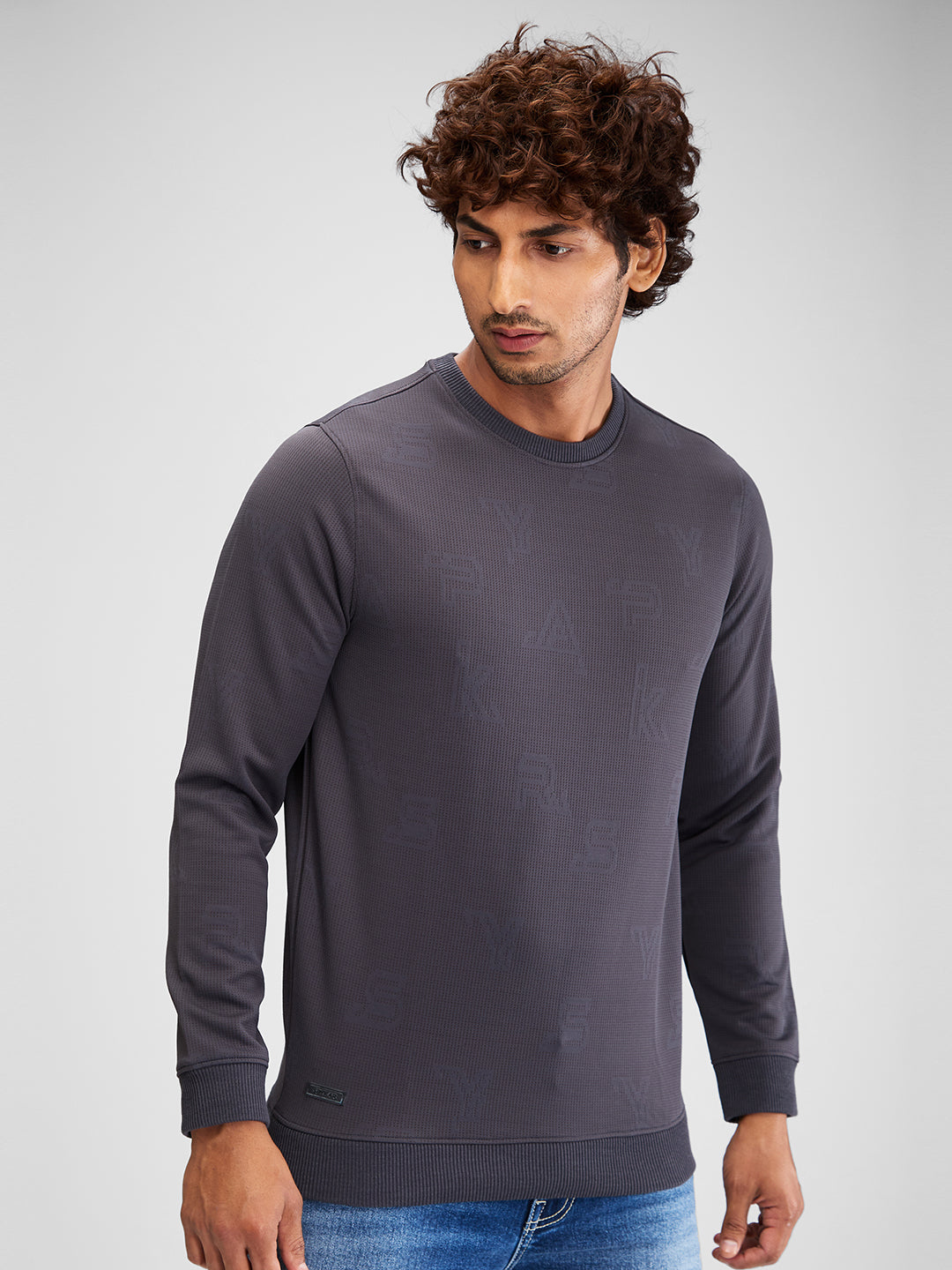 Spykar Men Solid Gray Slim Fit Full Sleeves Sweatshirt