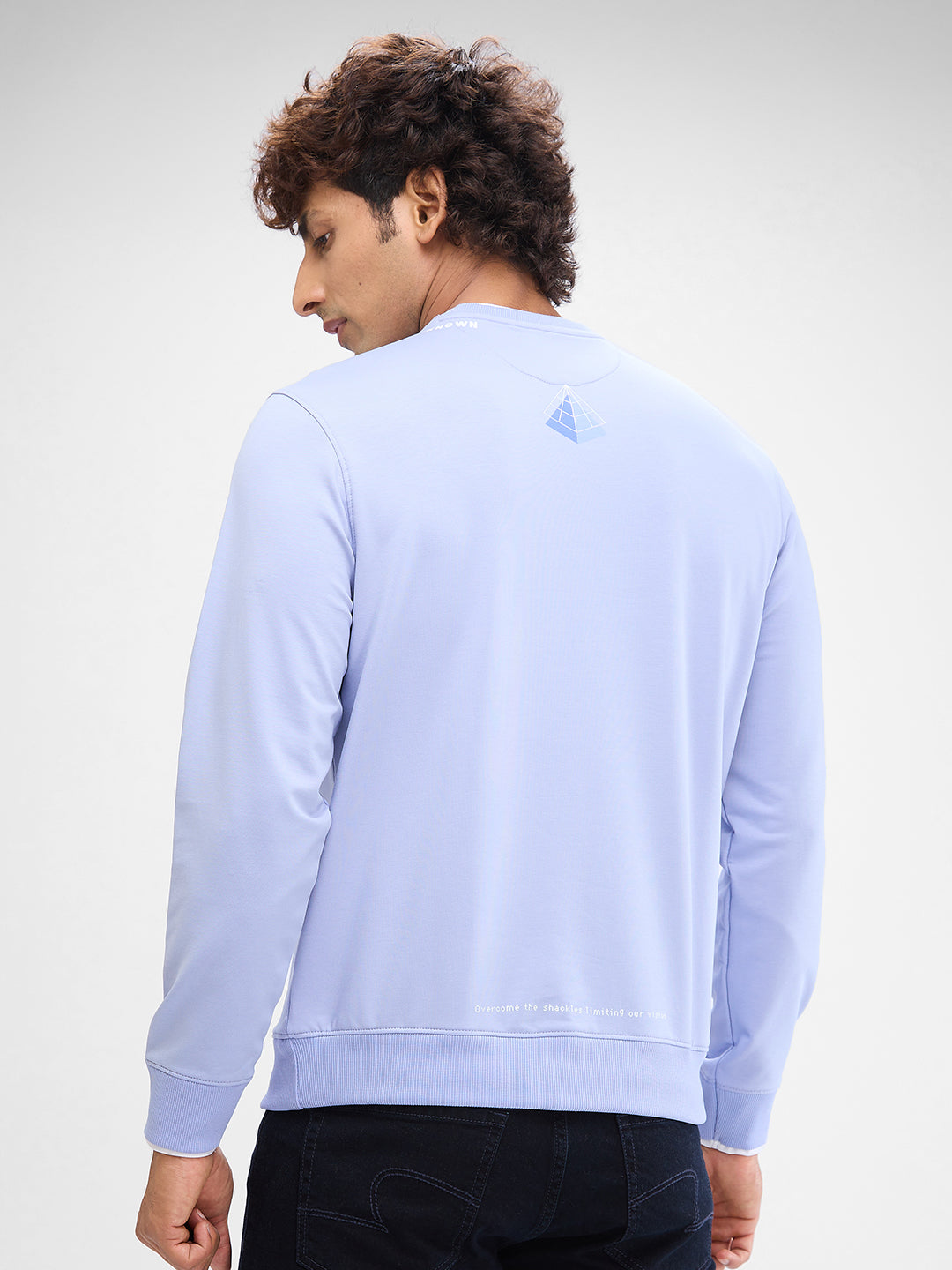 Spykar Heron Blue Cotton Full Sleeve Sweatshirt For Men