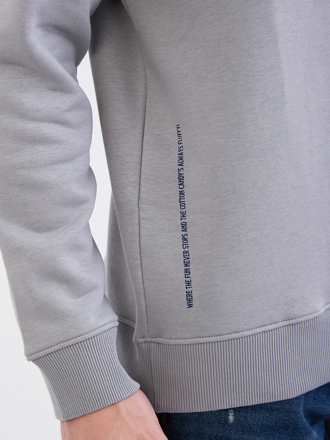 Men Sweatshirt Grey Regular Fit