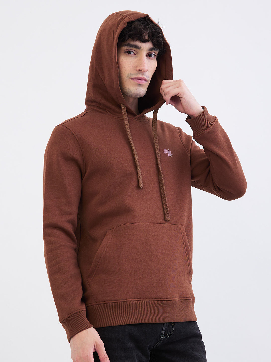 Spykar Bison Brown Regular Fit Casual Sweatshirts For Men